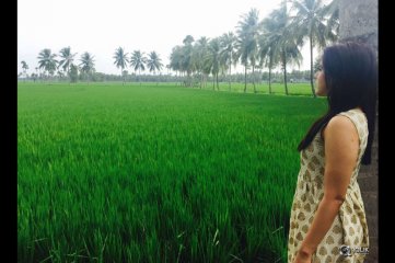 Rashmi Gautam Latest Pics